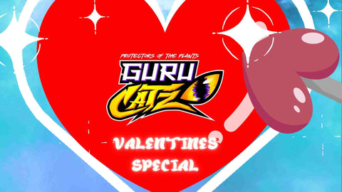 Guru Catz Valentines Special - Ziana My Valentine (free download)