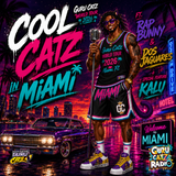 Cool Catz in Miami