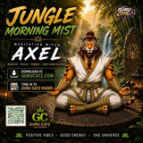 Jungle Morning Mist
